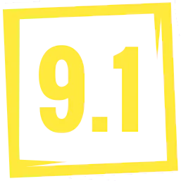9.1 review score